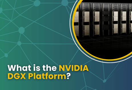 What is the NVIDIA DGX Platform